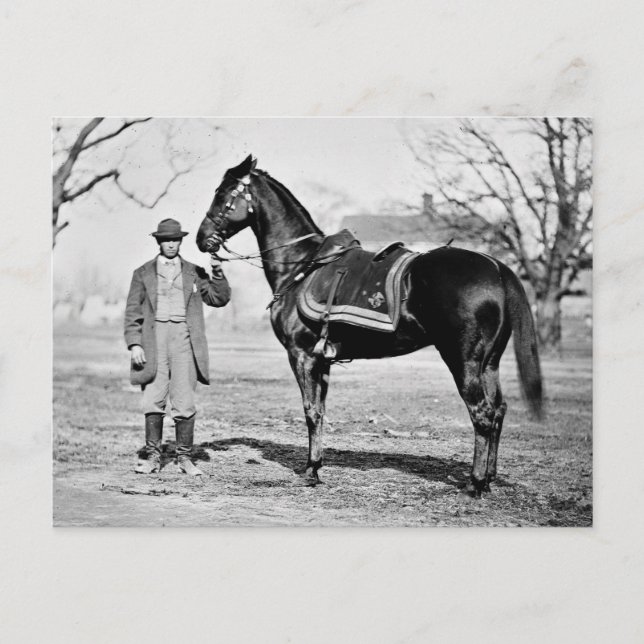 A Horse Named Cincinnati, 1865 Vykort (Framsida)