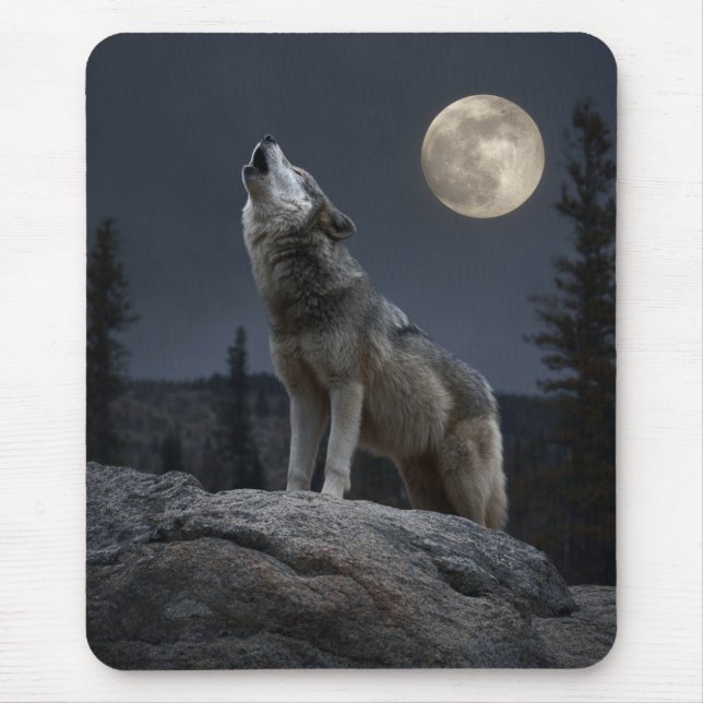 A Howling Wolf Musmatta (Framsidan)