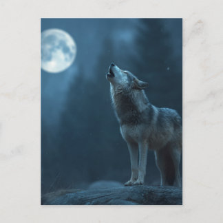 A Howling Wolf Vykort