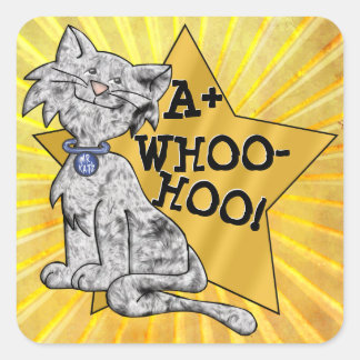 A+ Hu-Hoo! Grått Cat, Guld Star, Square Reward Fyrkantigt Klistermärke