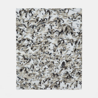 A HUGE DENSE FLOCK OF SNOW GEESE FLY TOGETHER IN T FLEECEFILT