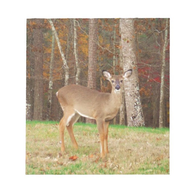 A Hunters Dream Hjort Anteckningsblock (Framsida)