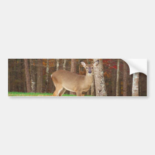 A Hunters Dream Hjort Bildekal