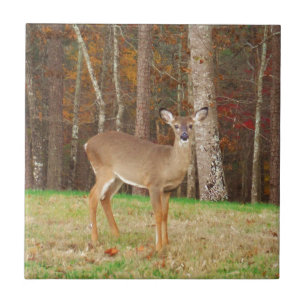 A Hunters Dream Hjort Kakelplatta