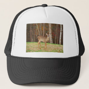 A Hunters Dream Hjort Keps
