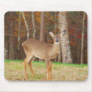 A Hunters Dream Hjort Musmatta