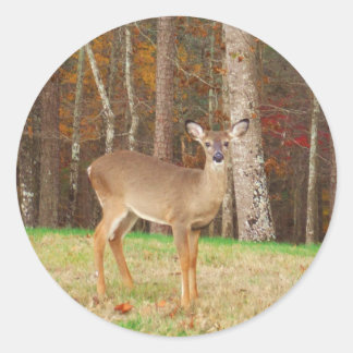 A Hunters Dream Hjort Runt Klistermärke