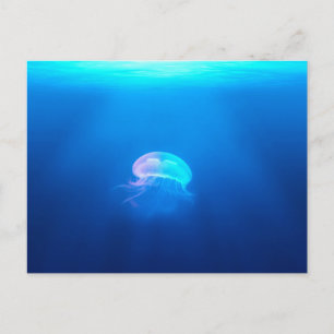 A Jellyfish Vykort