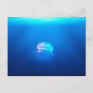 A Jellyfish Vykort