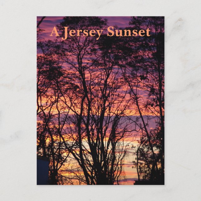 A Jersey Sunset Vykort (Framsida)