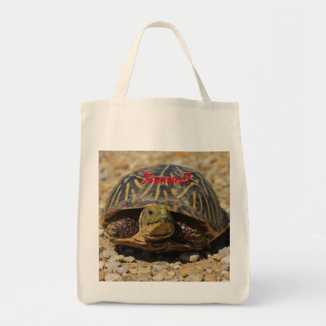 A Kansas Box Snäcka Turtle Livsmedel Tote Bag Tygkasse (Framsidan)