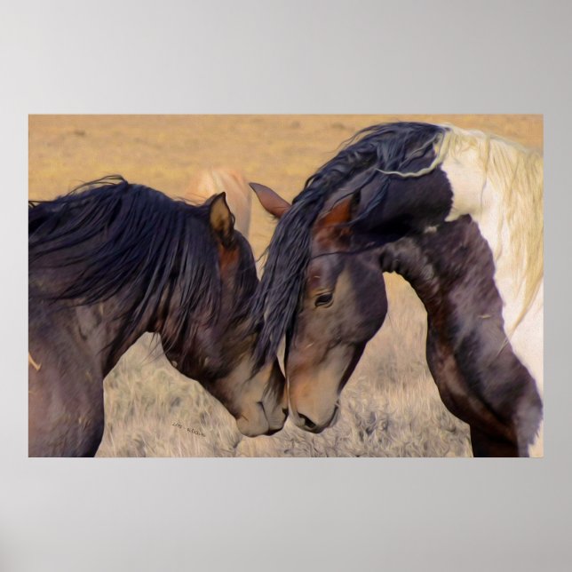 A Kärlek av hästar Poster (Framsidan)