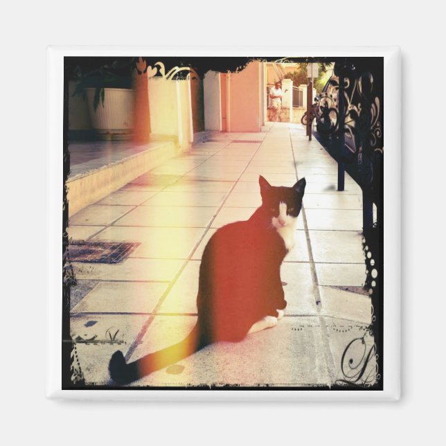 A Katt Magnet (Framsidan)