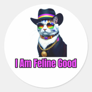 A Katt som föder upp en Fedora och solglasar Runt Klistermärke
