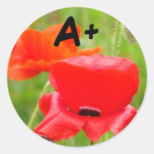 A+ klistermärken Röda Vallmo Blomma klistermärke S