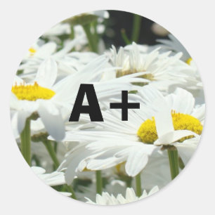 A+ Klistermärken Studenter Betyg Lärare Skola Dais