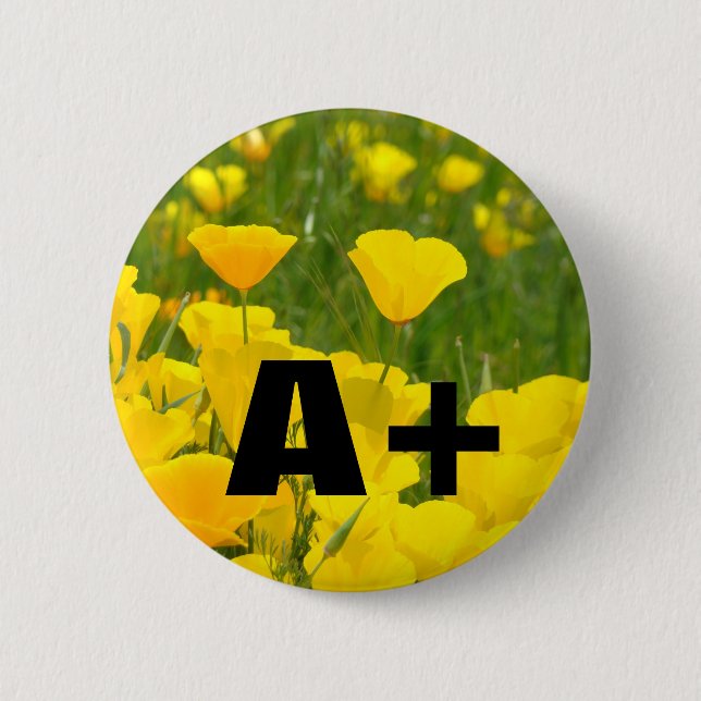 A+ knappar Vallmo Blommor Trädgård Äng (Framsida)
