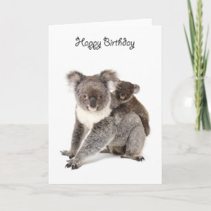 A koala grattis på födelsedagen kort
