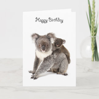 A koala grattis på födelsedagen kort