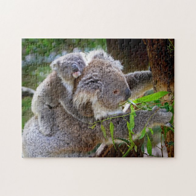 A Koala mor och baby i träd Pussel (Horisontell)