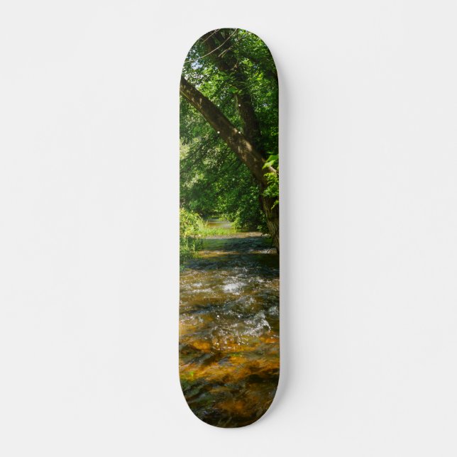 A LAND BÄCK MINI SKATEBOARD BRÄDA 18,5 CM (Framsida)