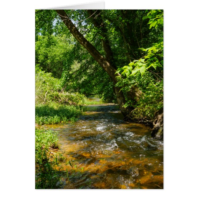 A LAND BÄCK OBS KORT (Framsidan)