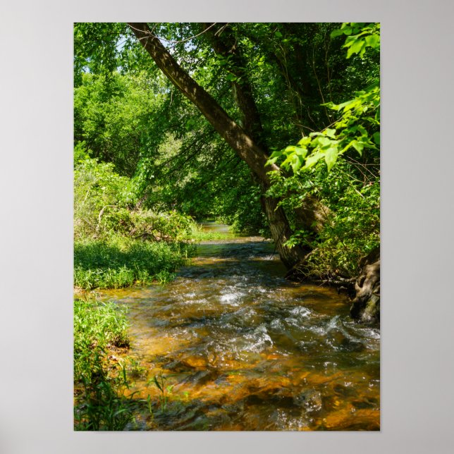 A LAND BÄCK POSTER (Framsidan)