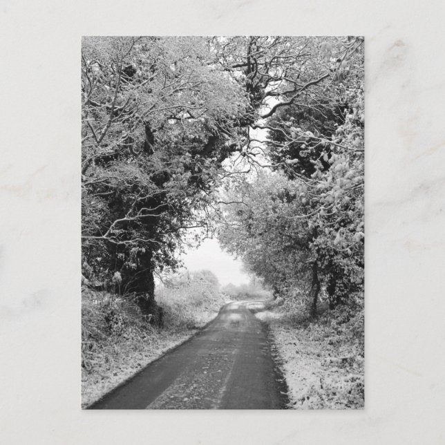 A Land Road i Winter Vykort (Framsida)