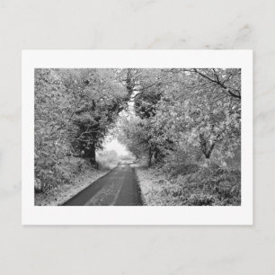 A Land Road in Winter: Cheshire, England Vykort