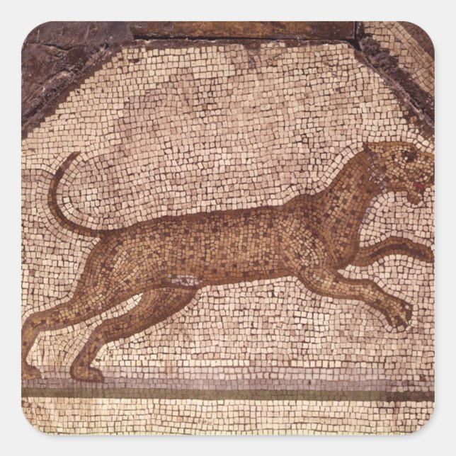 A Leopard Fyrkantigt Klistermärke (Framsida)