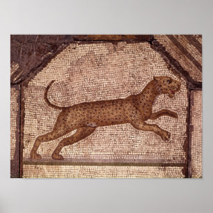 A Leopard Poster