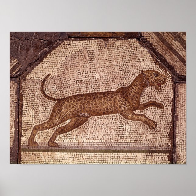 A Leopard Poster (Framsidan)
