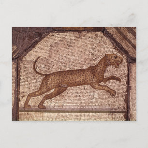 A Leopard Vykort