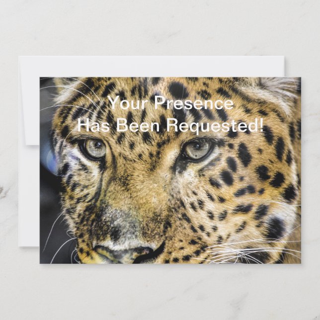 A Leopards Ögon Inbjudningar (Framsida)