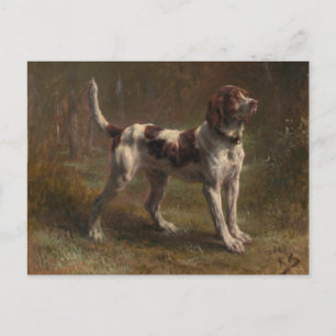 A Limier Briquet Hound Vykort