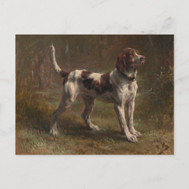 A Limier Briquet Hound Vykort (Framsida)