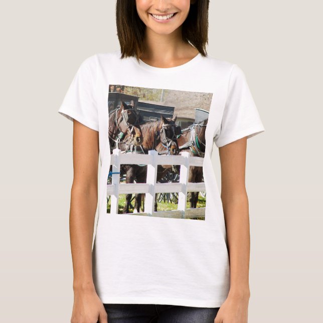 A Line of Amish Horses Tee Shirt (Framsida)