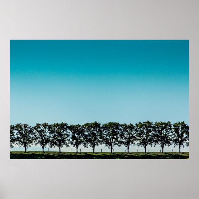 A line of trees on top of a hill in Sugarcreek, OH Poster (Framsidan)