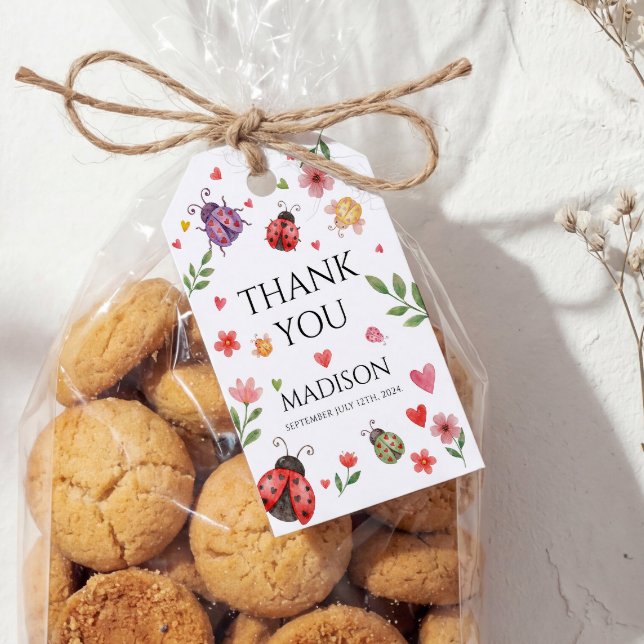 A Little Love Bug Baby Shower  Presentetikett (Skapare uppladdad)