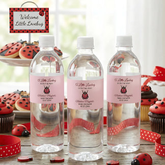 A Little Love Bug Is On The Way Ladybug Vattenflaskor Etikett