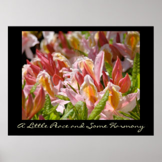 A Little Peace & Some Harmony konsttryck Rhodies Poster