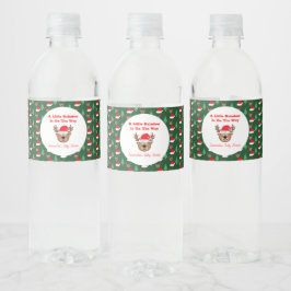 A Little Reindeer Is On The Way Vattenflaskor Etikett