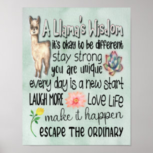 A Llamas visdomsmotiv - 11 x 14 Poster