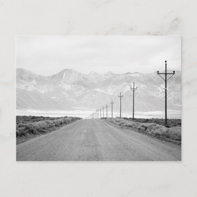 A Lone Road and Power Linjer | San Juan Mountains Vykort (Framsida)
