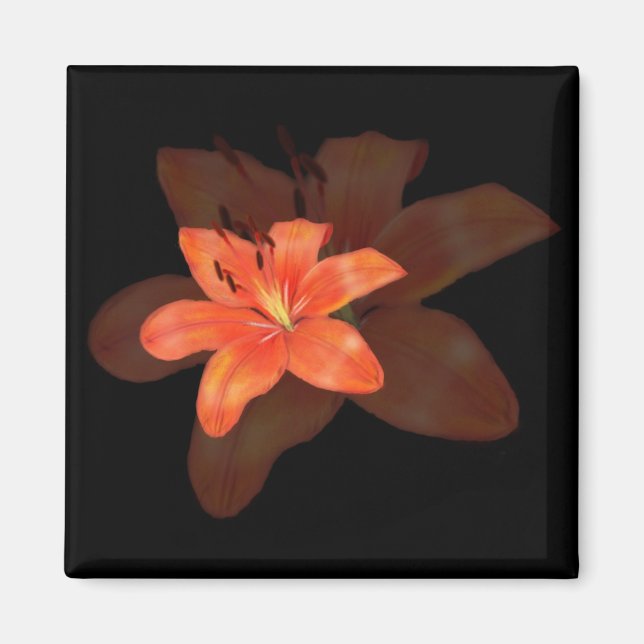 A Lonely Lily magnet (Framsidan)