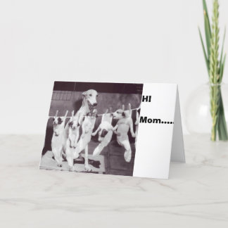 A Lycklig Greyhound med sina valpar 55 av Nat Fein Kort