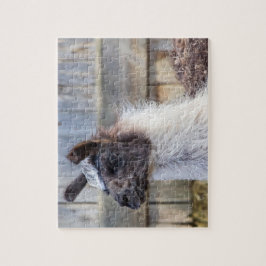 A Lycklig Llama Pussel