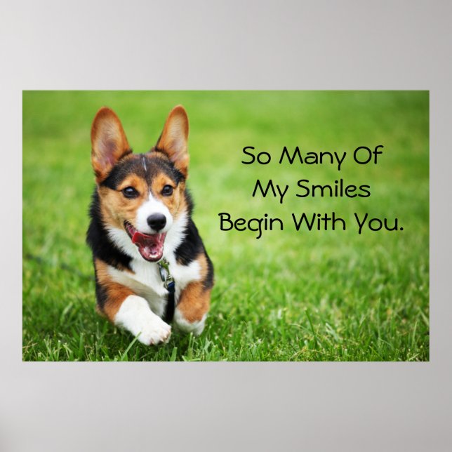 A Lycklig och energirik Pembroke Welsh Corgi Puppy Poster (Framsidan)