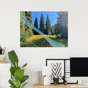 A Magic Forest Poster
