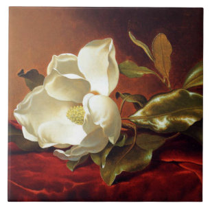 A Magnolia on Red Velvet Kakelplatta